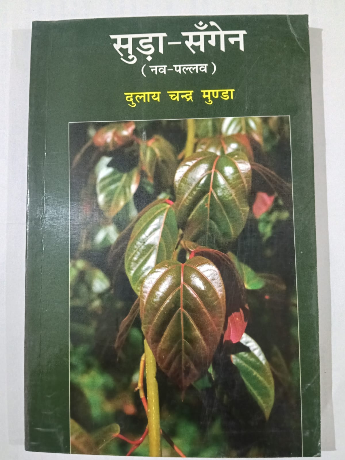 Suda Sangen (Nav Pallav)