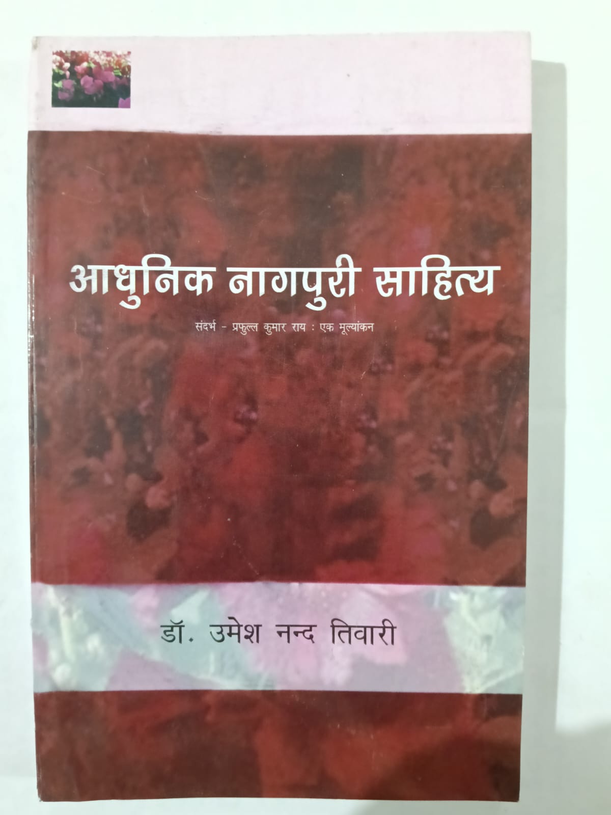 Adhunik Nagpuri Sahitya