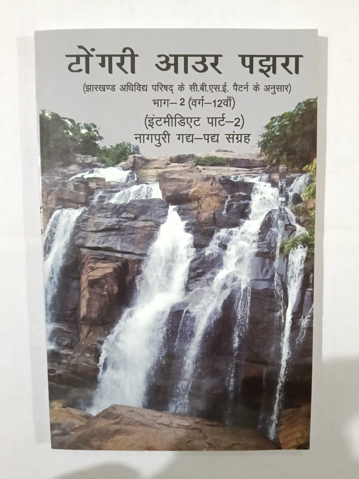 Tongri aur pajhar 2