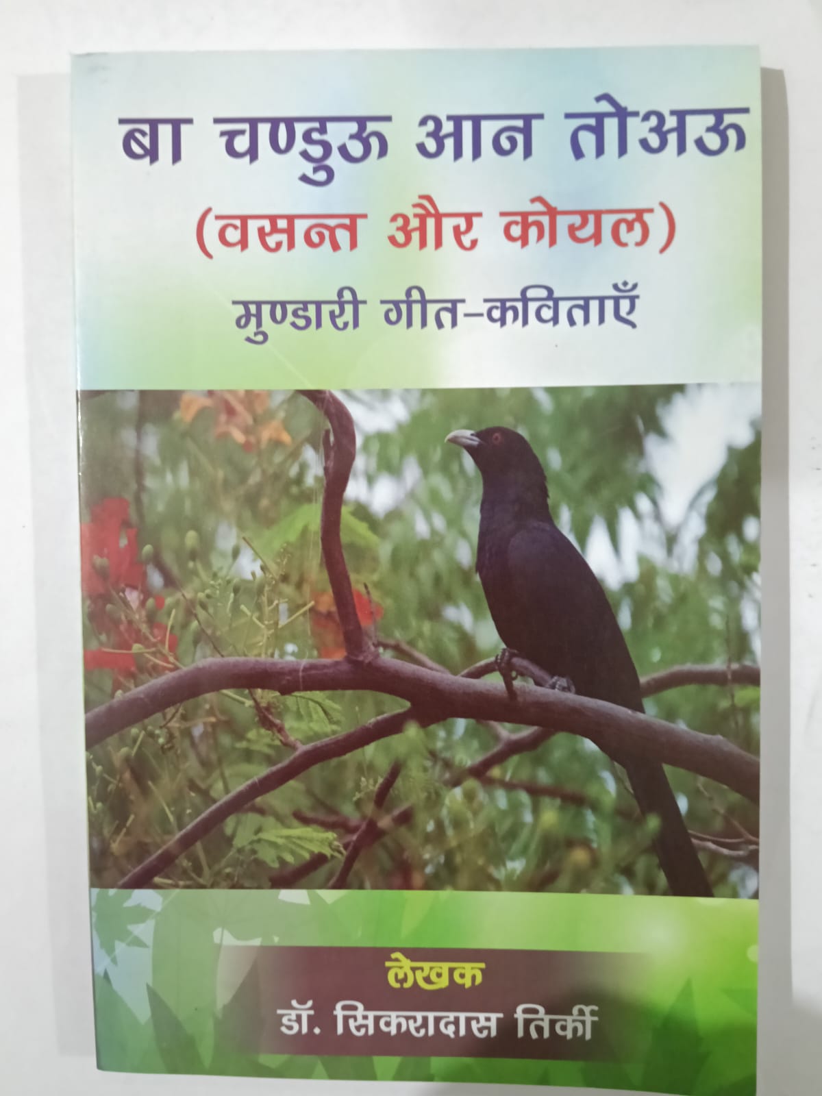Adivasi Geet Aur Kavitaen