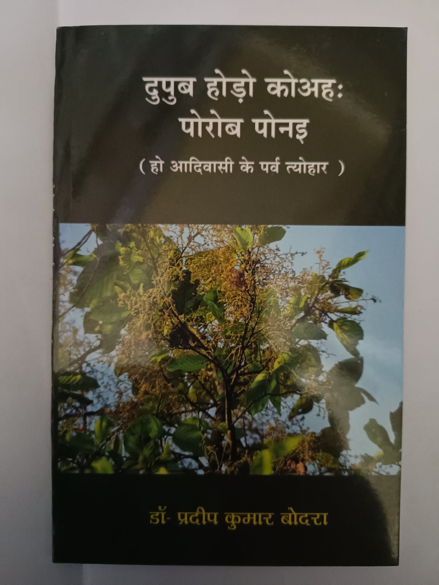 Ho aadivasi ke parv book